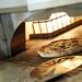 A pizza is rotated in the fire oven for even cooking on Tuesday. Daniel Brenner I AnnArbor.com